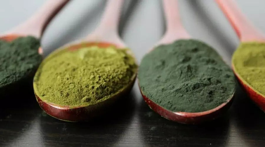 Tinte Vegetal